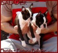 /album/fotogalerie/floridka-a-fortunka-spolecne-jpg/